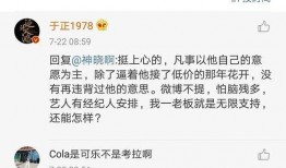 娱乐圈吃瓜观后感,揭秘明星背后的真相与争议