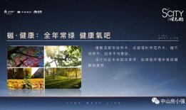 深圳翠竹楼爆料视频最新,揭秘神秘事件背后的真相